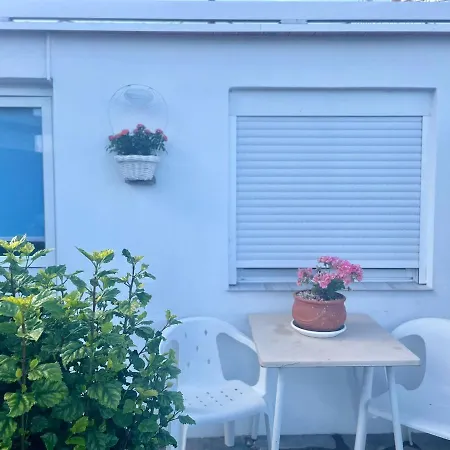 Casa Rosa Apartment San Miguel de Abona